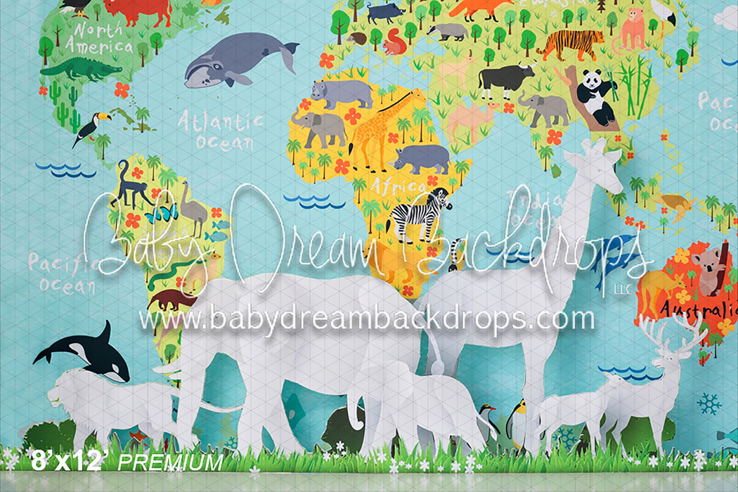 Animals of the World