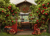 Apple Orchard Barn (Grass) (JA)