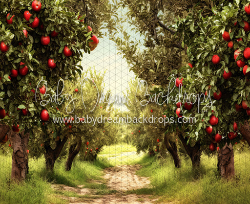 Apple Orchard Path (JA)