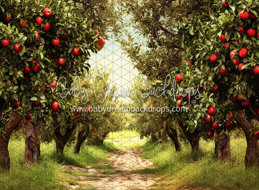 Apple Orchard Path (JA)