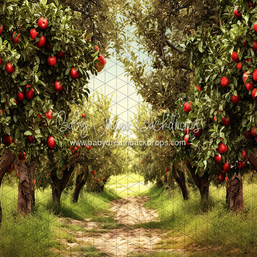 Apple Orchard Path (JA)