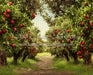 Apple Orchard Path (Dirt) (JA)