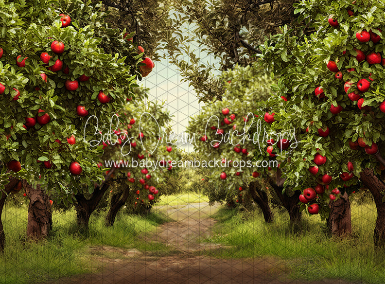 Apple Orchard Path (Dirt) (JA)