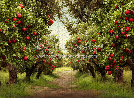 Apple Orchard Path (Dirt) (JA)