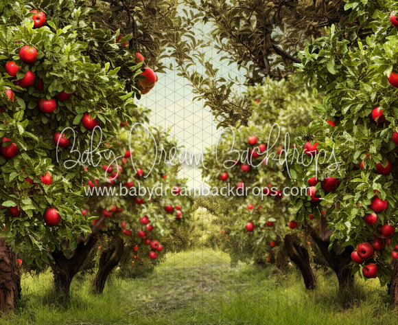 Apple Orchard Path (Grass) (JA)
