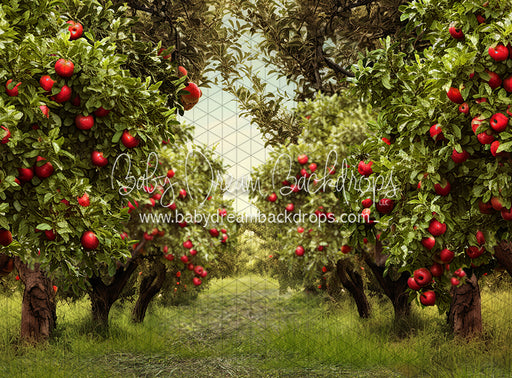 Apple Orchard Path (Grass) (JA)