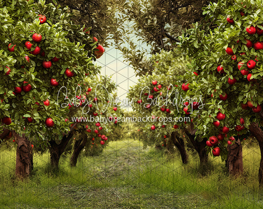Apple Orchard Path (Grass) (JA)