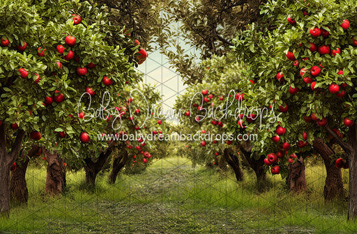 Apple Orchard Path (Grass) (JA)