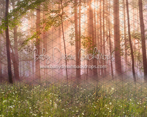 April Meadow Morning (CC)