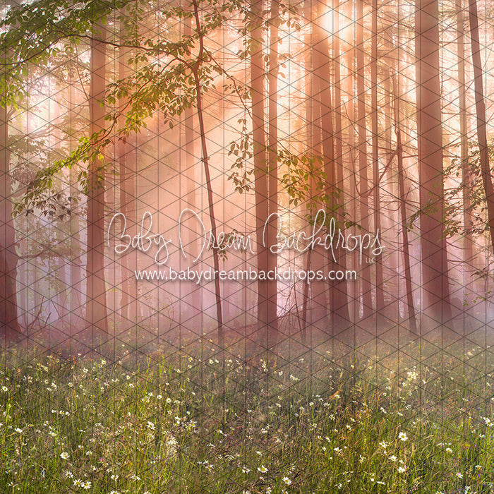 April Meadow Morning (CC)