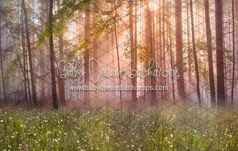 April Meadow Morning (CC)