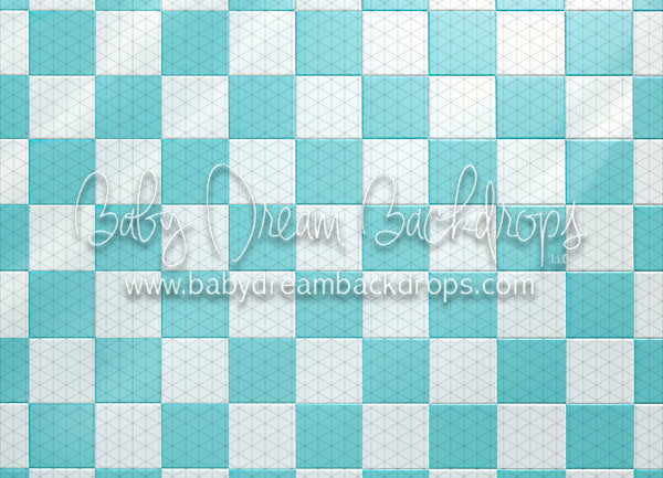 Aqua Dolly Small Checkers (MD)