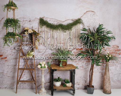 Aries Dream Wall (2)