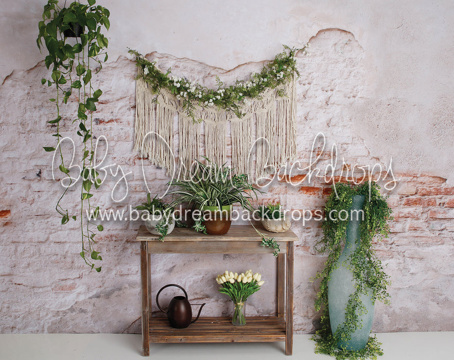 Aries Dream Wall (3)