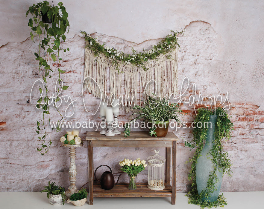 Aries Dream Wall (4)