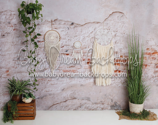 Aries Dream Wall (5)