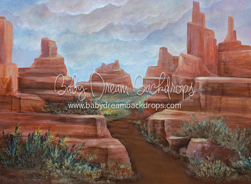 Arizona Adventure