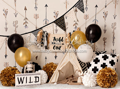 Arrows Gone Wild - 60Hx80W - BS  