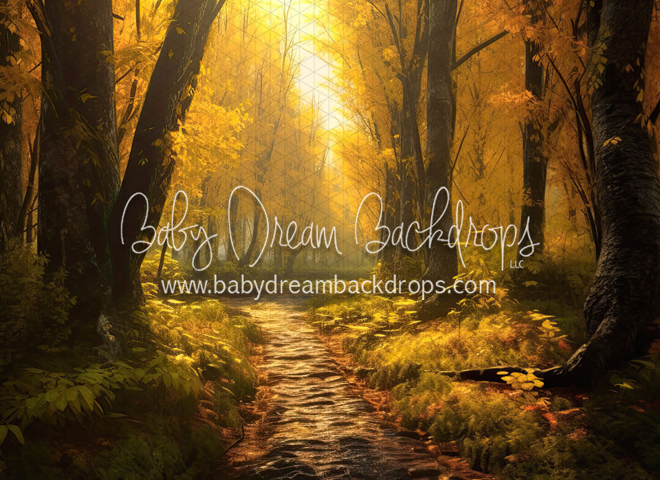 Autumn Awakening Trail (BD)