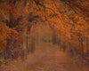 Autumn Path - 8x10 - CC 