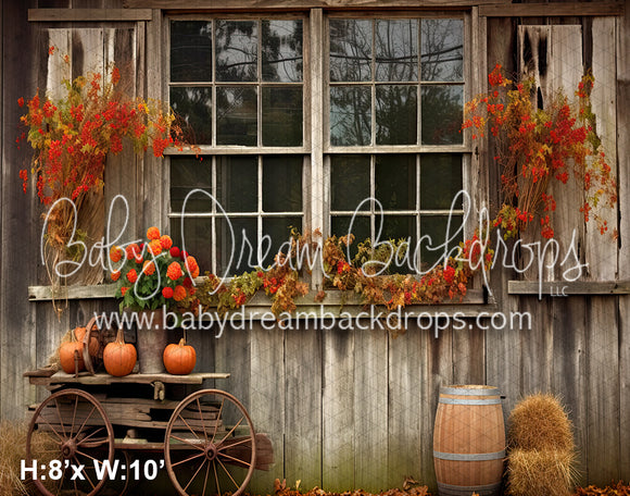 Autumn Country Window 1 (SM)