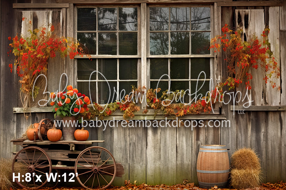 Autumn Country Window 1 (SM)