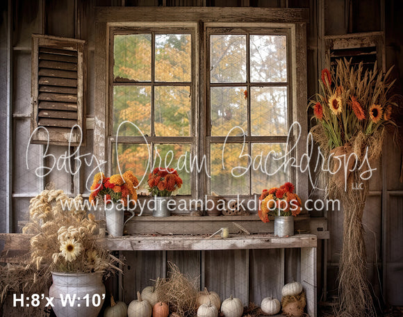 Autumn Country Window 2 (SM)