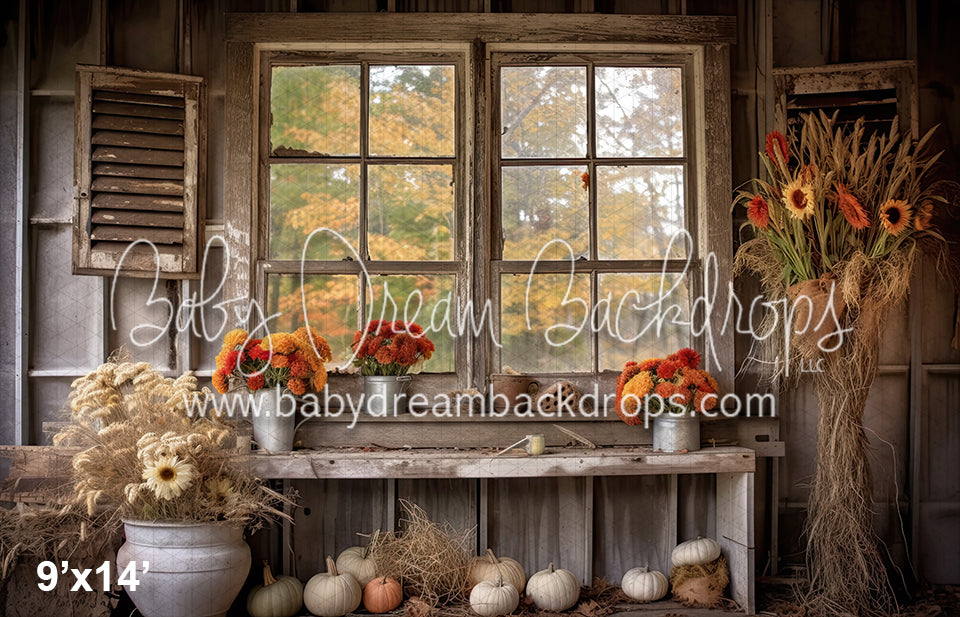 Autumn Country Window 2 (SM) – Baby Dream Backdrops