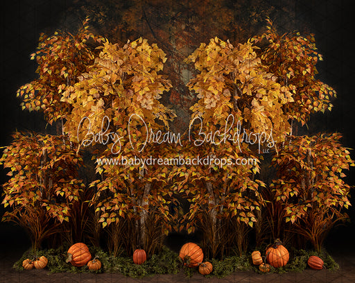 Autumn Eve Forest (JA)