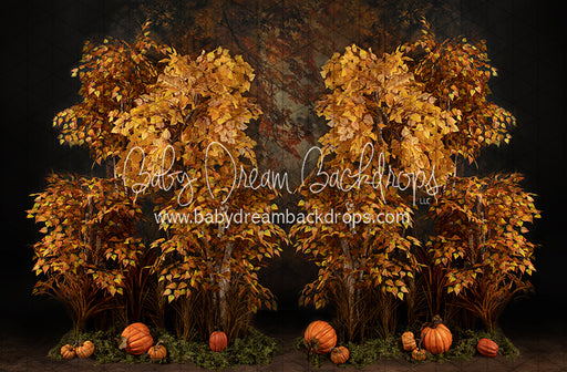 Autumn Eve Forest (JA)