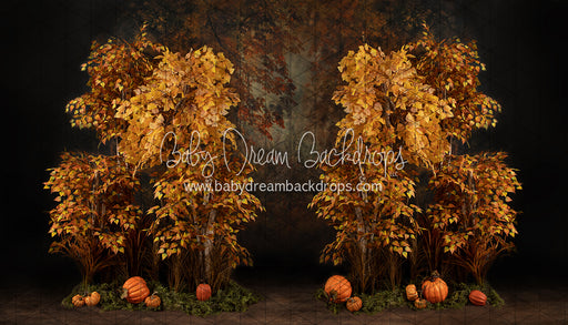 Autumn Eve Forest (JA)