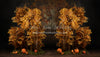 Autumn Eve Forest (JA)