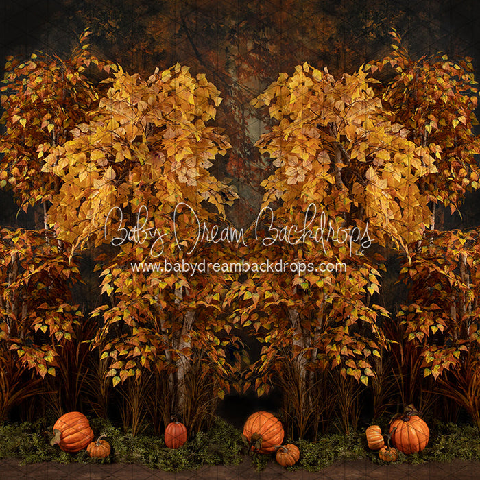 X Drop autumn eve forest ja