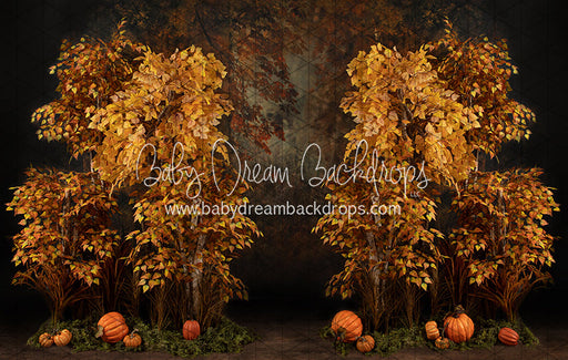 Autumn Eve Forest (JA)