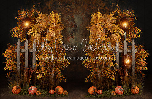 Autumn Eve Path (JA)