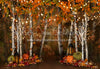 Autumn Illumination 5x7