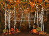 Autumn Illumination 60x80