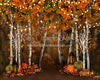 Autumn Illumination 8x10