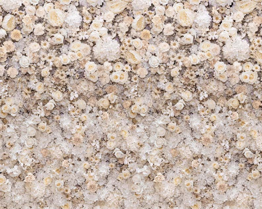 Awesome Blossoms Creams - 8x10 - CC 