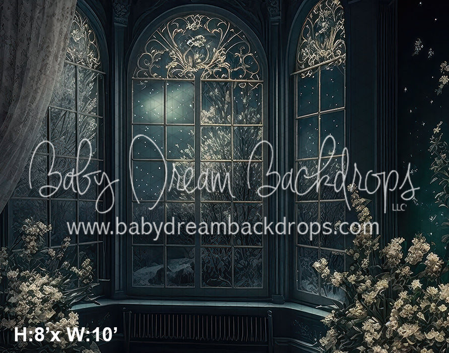 BD Winter Series Aeronwen Digital Download