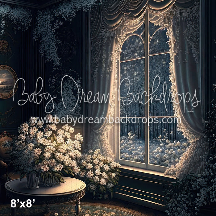 BD Winter Series Aspen Room Digital Download