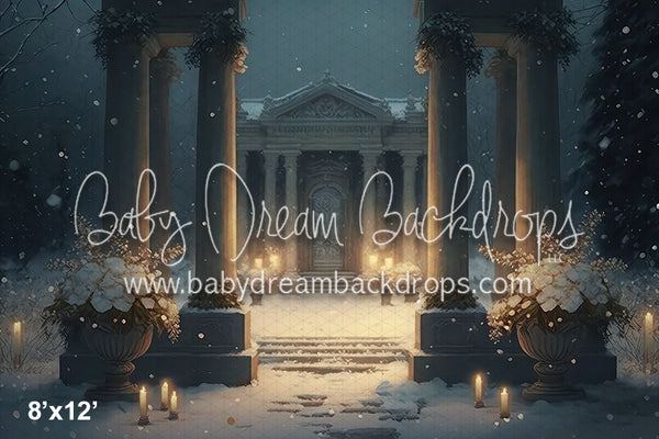 BD Winter Series Blanketed in Snow Digital Download