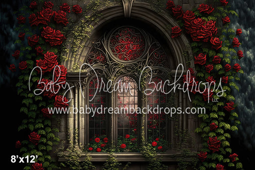 Romance Series Affair of the Heart (BD)