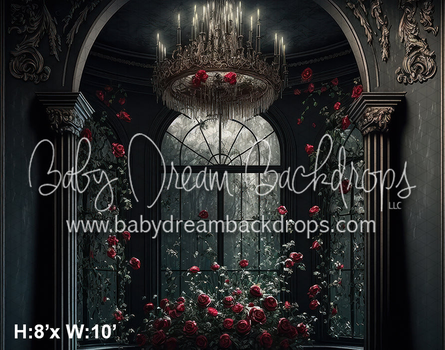 Romance Series Calm View (BD)