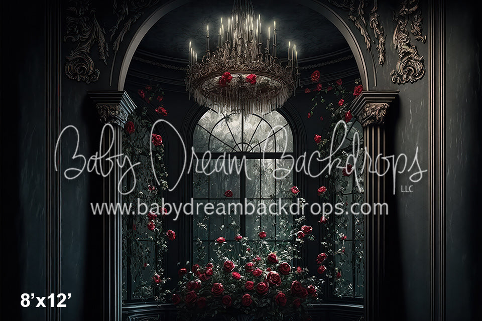 Romance Series Calm View (BD)