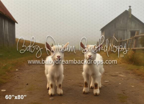 Baby Goats on the Farm (AZ)