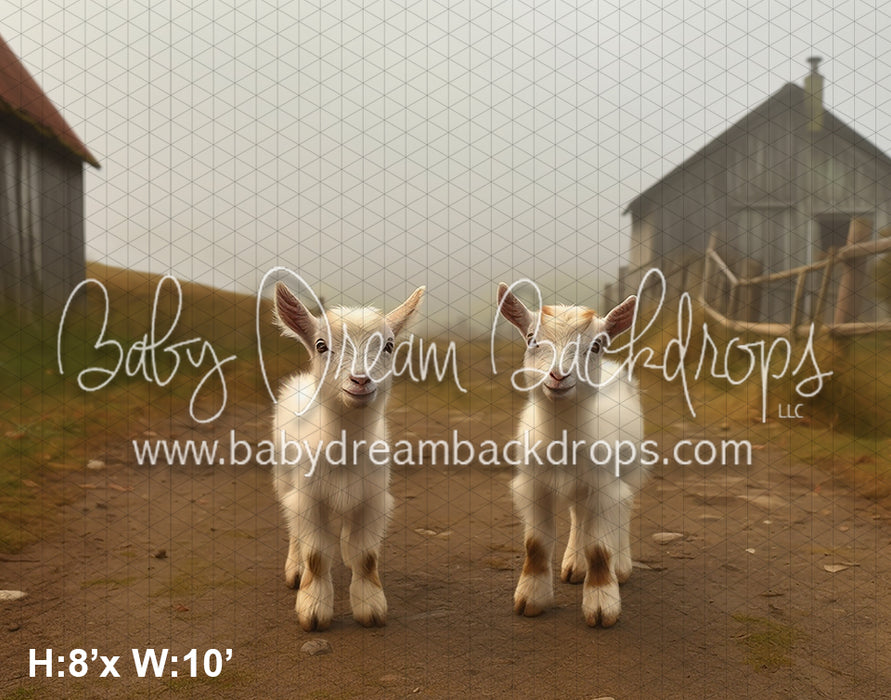 Baby Goats on the Farm (AZ)