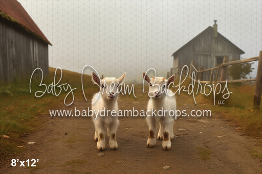 Baby Goats on the Farm (AZ)
