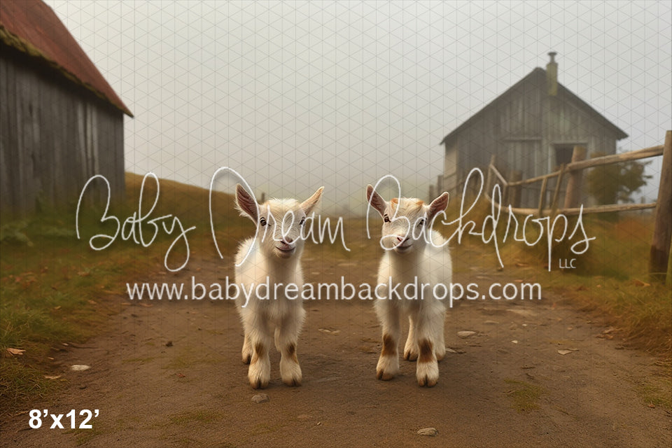 Baby Goats on the Farm (AZ)