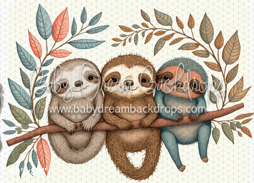 Baby Sloths (MD)